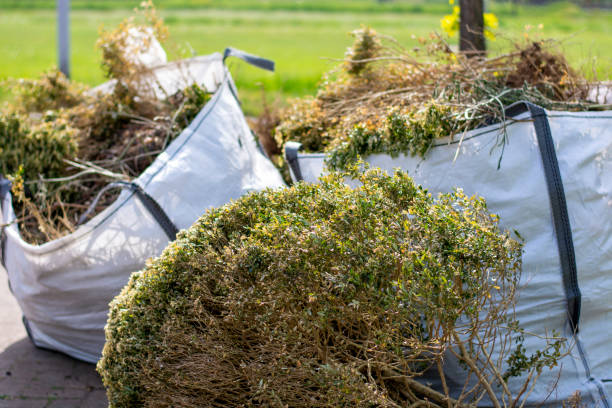 Best Shed Removal  in Start, LA